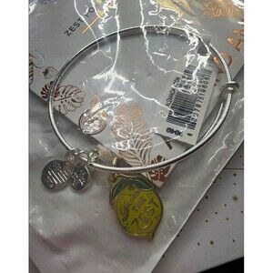 Alex and Ani "You're the Zest" Expandable Bangle Bracelet